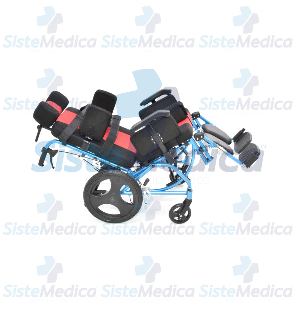 Silla de ruedas parálisis cerebral adulto PCA