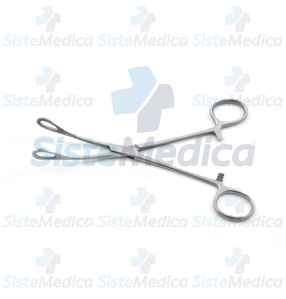 Pinza porta esponja Foerster (Forester) curva 18 cm