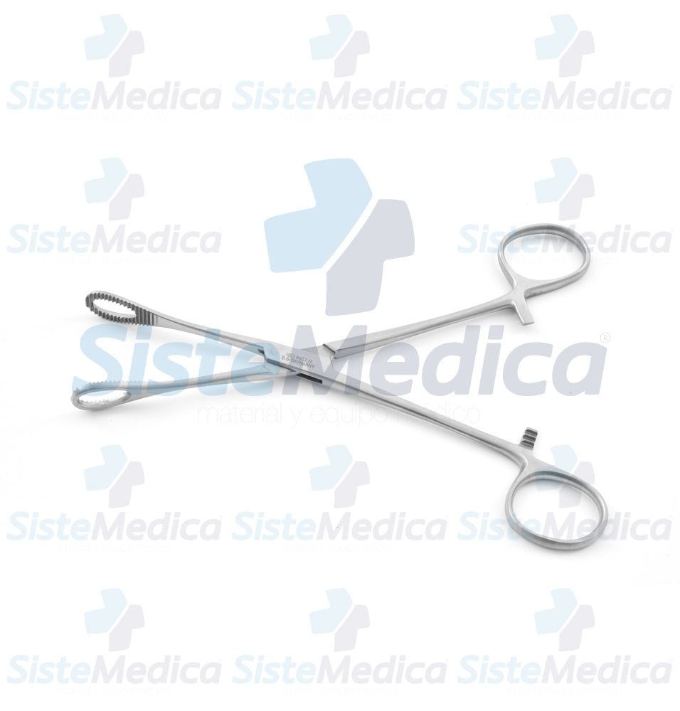 Pinza porta esponja Foerster (Forester) recta 18 cm
