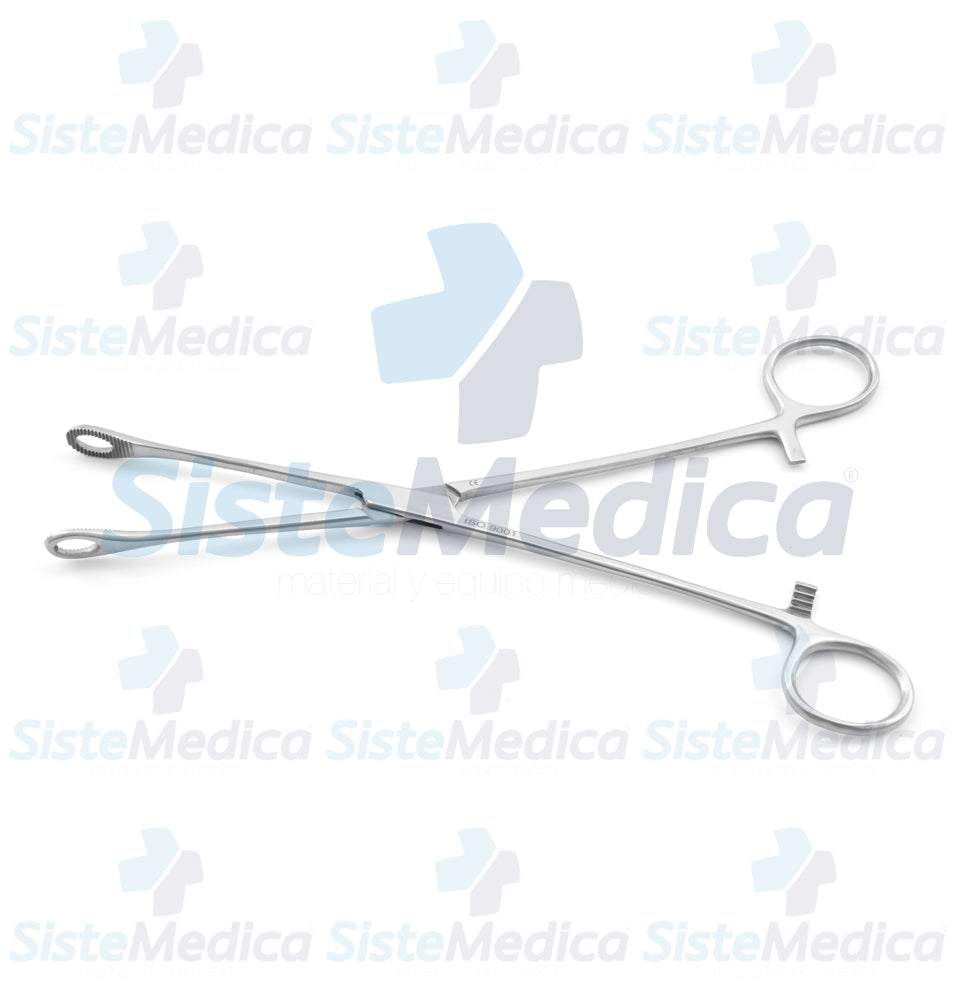 Pinza porta esponja Foerster (Forester) con anillo pequeño recta 24 cm