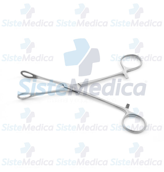 Pinza porta esponja Foerster (Forester) recta 18 cm