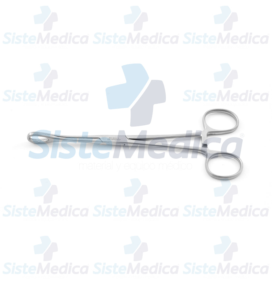 Pinza porta esponja Foerster (Forester) recta 18 cm
