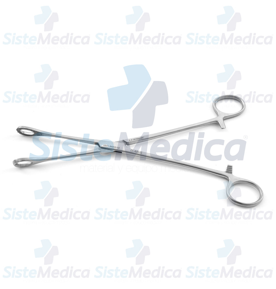 Pinza porta esponja Foerster (Forester) recta 24 cm