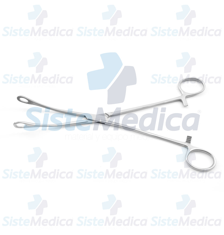 Pinza porta esponja Foerster (Forester) con anillo pequeño curva 24 cm