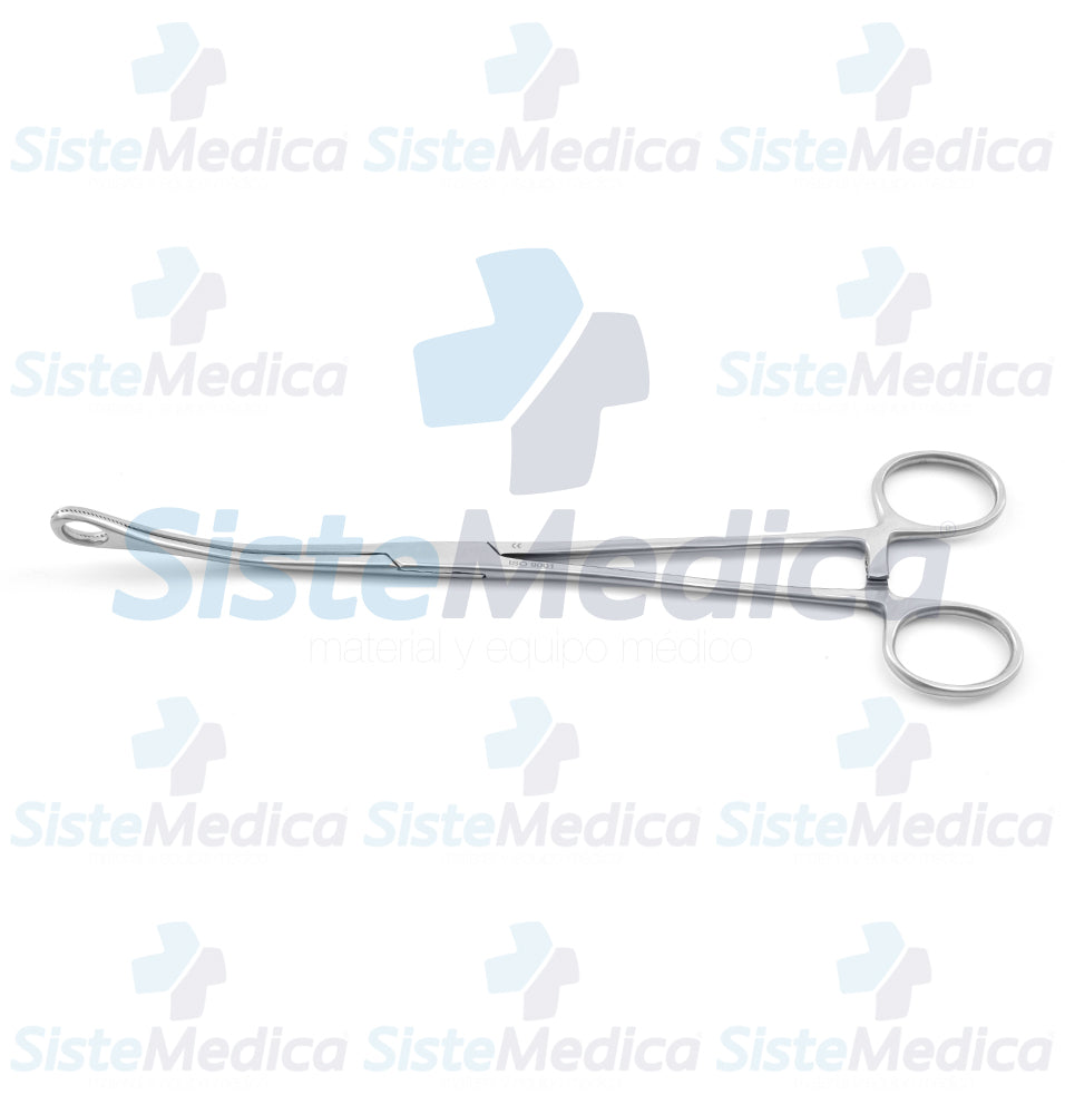 Pinza porta esponja Foerster (Forester) con anillo pequeño curva 24 cm