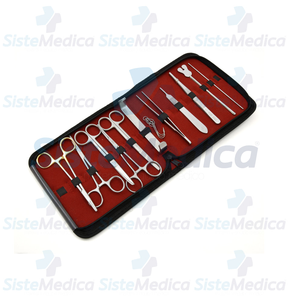 Estuche de curación / disección con 12 piezas
